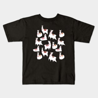 Peruvian Llamas Kids T-Shirt